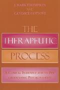 The Therapeutic Process: A Clinical Introduction to Psychodynamic Psychotherapy