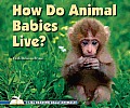 How Do Animal Babies Live?