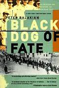 Black Dog Of Fate