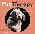 Pug Therapy Finding Happiness One Pug At