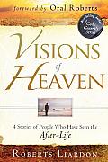 Visions of Heaven 4 Stories of People Who Have Seen the After Life
