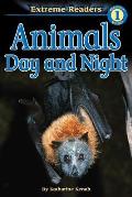 Animals Day & Night Level 01