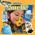 What Is Smell?