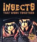 Insects That Work Together World Of Inse