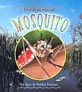 El Ciclo de Vida del Mosquito Life Cycle of a Mosquito