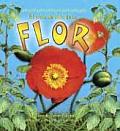 El Ciclo de Vida de la Flor (the Life Cycle of a Flower)