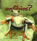 ?Qu? Son Los Anfibios? (What Is an Amphibian?)