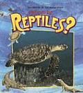 ?Qu? Son Los Reptiles? (What Is a Reptile?)