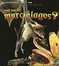 ?Qu? Son Los Murci?lagos? (What Is a Bat?)