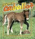 ?Qu? Es Un Caballo? (What Is a Horse?)