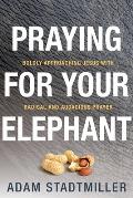 Praying for Your Elephant: Boldly Approaching Jesus with Radical and Audacious Prayer