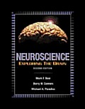 Neuroscience Exploring The Brain 2nd Edition