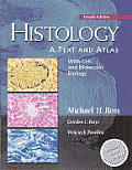 Histology A Text & Atlas With Cell & Molecular Biology
