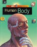 Human Body