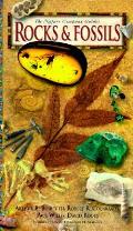 Rocks & Fossils Nature Company Guides