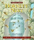 Hornets Nest Watch It Grow