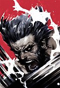 Soultaker Wolverine