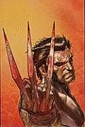 Wolverine Weapon X Volume 1 Adamantium Men
