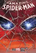 Amazing Spider Man Volume 2