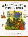 Everyday Life In Bible Times Work Worshi