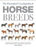 Illustrated Encyclopedia Of Horse Breeds