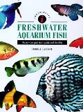 Freshwater Aquarium Fish The New Compa
