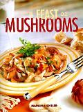 Feast Of Mushrooms