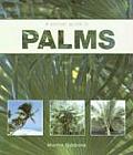 Pocket Guide To Palms