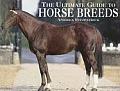 Ultimate Guide To Horse Breeds