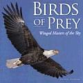 Birds of Prey Winged Masters of the Sky