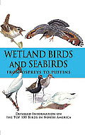 Wetland Birds & Seabirds From Ospreys to Puffins