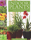 Indoor Plants The Essential Guide to Choosing & Caring for Houseplants