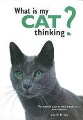 What Is My Cat Thinking The Essential Guide to Understanding Your Pets Behavior