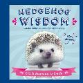 Hedgehog Wisdom Little Reasons to Smile