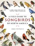 Field Guide to Songbirds of North America A Visual Directory of 100 of the Most Popular Songbirds
