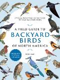 Field Guide to Backyard Birds of North America A Visual Directory of the Most Popular Backyard Birds