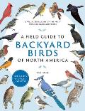 Field Guide to Backyard Birds of North America