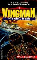 Final Storm Wingman 4