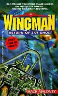Return Of Sky Ghost Wingman 15