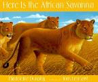 Here Is The African Savanna