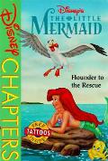 Disneys The Little Mermaid Flounder