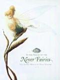 In the Realm of the Never Fairies The Secret World of Pixie Hollow
