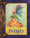 Practical Guide To Faeries