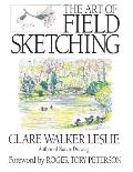 Field Sketching
