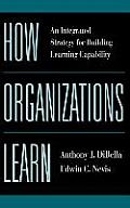 How Organizations Learn: An Integrated Strategy for Building Learning Capability