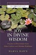 Joy in Divine Wisdom Practices of Discernment from Other Cultures & Christian Traditions