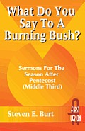 What Do You Say To A Burning Bush Sermon