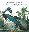 Audubons Birds Of America