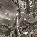 Ancient Trees Portraits of Time