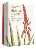 Healing Plants: From Elizabeth Blackwell's Curious Herbal